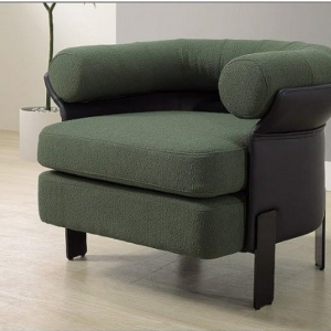 A231-01卡羅爾休閒椅