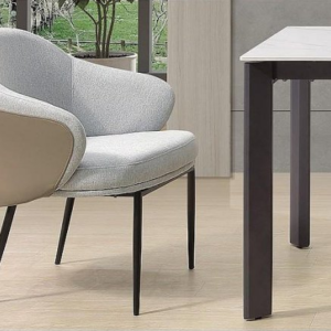 A230-03邦迪休閒椅