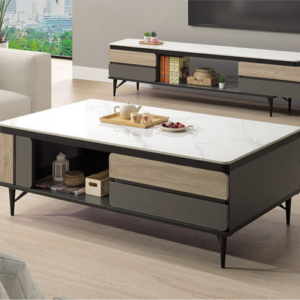 A286-01寇克岩板大茶几