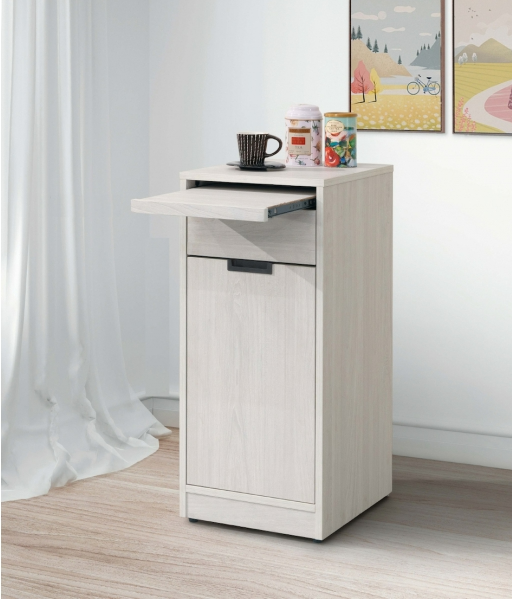 A424-02雨果1.2尺收納櫃(白榆木)