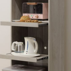 A455-01羅布森2尺收納櫃