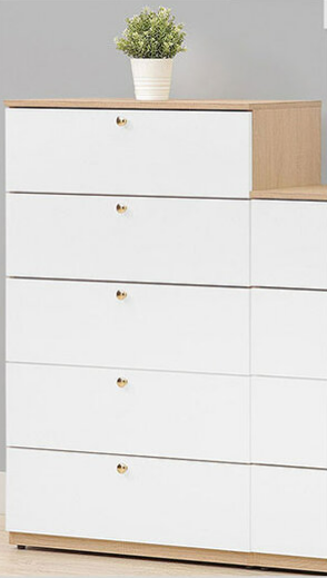 392-2 歐若拉五斗櫃