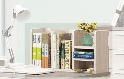 745-4海芋桌上架