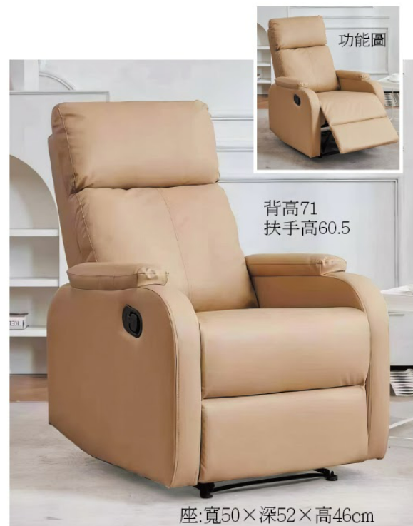 C728-1 8057單人休閒椅(駝.耐磨透氣皮)