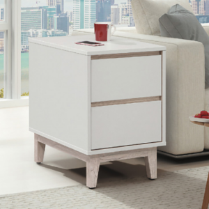 C366-5紀梵希活動櫃