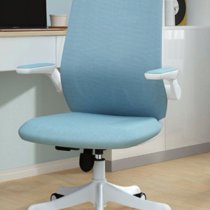 C472-9 蝴蝶網椅 白框/藍布