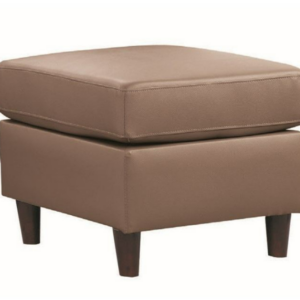 D348-16 達米安輔助椅 卡其色