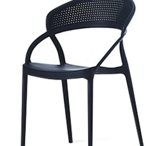 C488-17 PP-737 休閒椅 黑