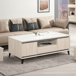 A1442-1范德爾4.3尺岩板大茶几 桌面12MM岩板 附輔助椅*2 雙邊造型 雙邊使用