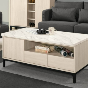 A1450-2丹妮拉4尺原石大茶几 門雙邊使用 抽屜雙邊造型 單邊使用