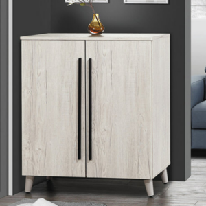 D541-5 炭燒白雙門鞋櫃