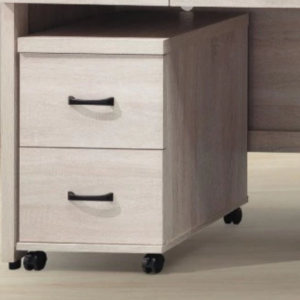 D635-7 鋼刷白兩抽活動櫃