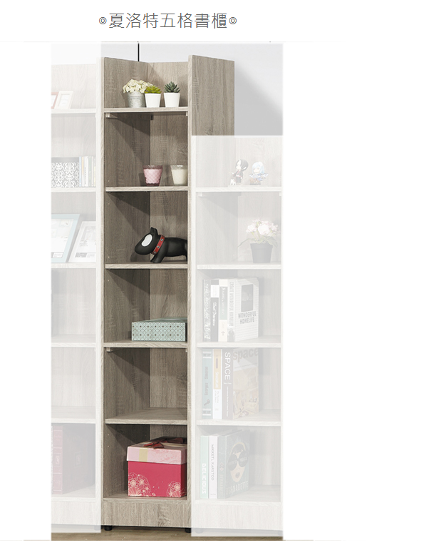 D642-4 夏洛特五格書櫃