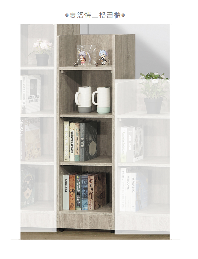 D642-6 夏洛特三格書櫃