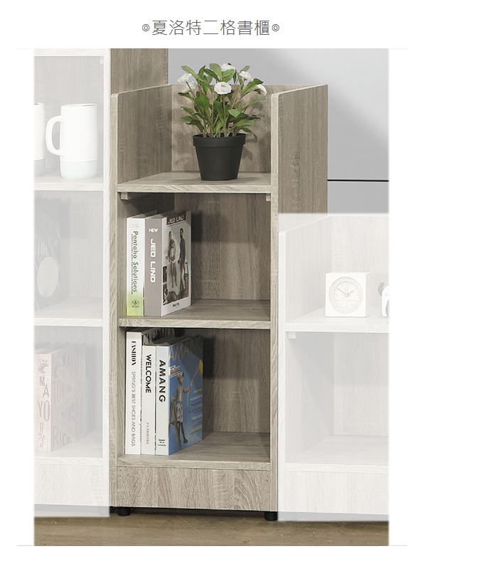 D642-7 夏洛特二格書櫃