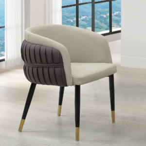 A230-05西恩斯休閒椅 背深咖