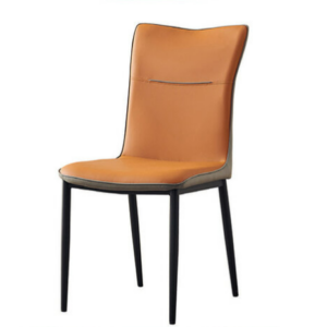 D822-5 艾坦餐椅 橘色