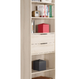 A1625-4 塔利斯2尺二抽書櫥 附活動隔板*2