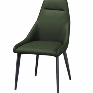 D843-3 諾克綠色餐椅 座深44座高46公分