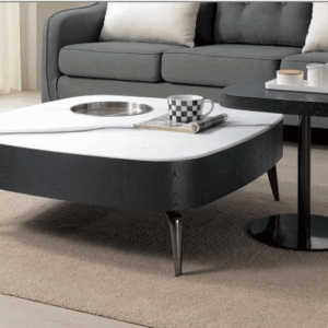 A246-02 伊格納石面大茶几