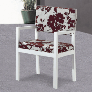 D858-Z077 德古斯白色餐椅