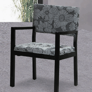 D858-Z079 佩朵黑色餐椅