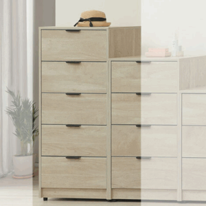 E229-2 汎芮德2尺五斗櫃