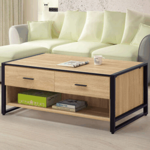 E251-2 鐵框原切大茶几