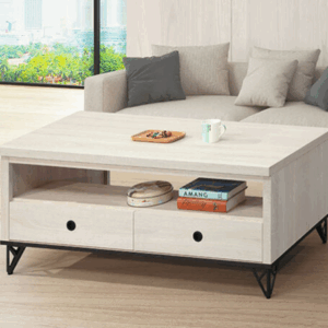 E255-5 馬利白原切4尺茶几