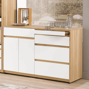 A1728-2 羅德尼4尺收納櫃 附活動隔板1片