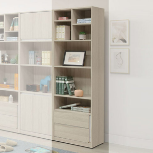 A553-04萊米克2尺二抽書櫃