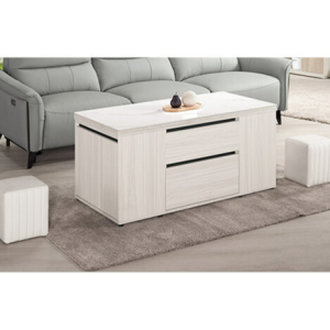 A1425-1 丹尼斯4*4岩板多功能大茶几 ⊙附輔助椅2張、 ⊙活動隔板1片、 ⊙油壓升降五金