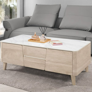 A1441-2 丹尼爾4尺岩板大茶几 ⊙桌面12mm岩板、 ⊙雙邊造型.抽屜單邊使用.門雙邊使用