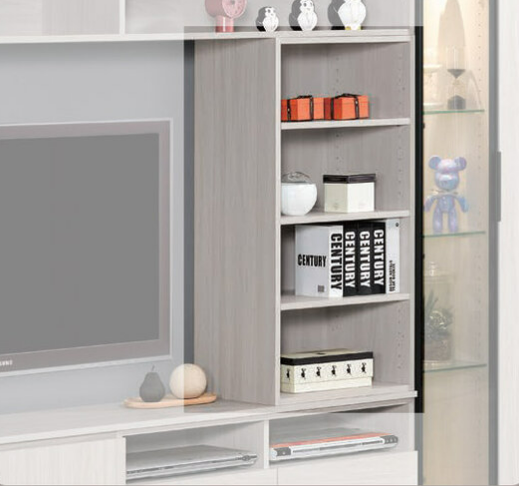 A1471-6 丹尼斯1.7尺置物櫃 ⊙附活動隔板2片