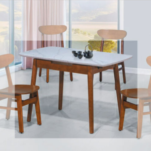 E389-5 柚木色長方折桌