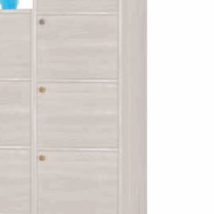 F525-4 白梧桐浮雕耐磨皮收納櫃 5門