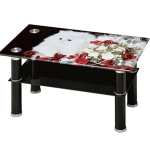 G594-3 B-1貓咪大几