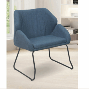 H480-2 291休閒椅 藍