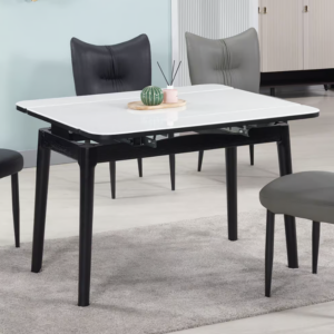 876-3 斯麗科技石拉合餐桌