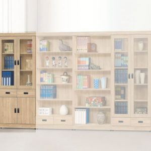 E321-5 法蘭克中抽書櫥