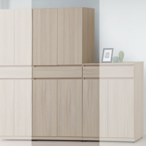 E432-5 米倫3*6尺鞋櫃