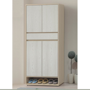 E438-3 志氣3*6尺鞋櫃