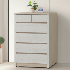 C561-10 志氣五斗櫃